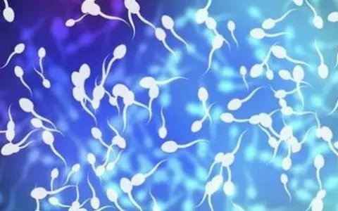 什么是死精症？死精症的病因？死精症如何治疗？死精症患者做试管婴儿成功率是多少？