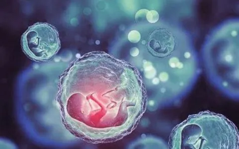 深圳可以做三代试管婴儿吗，在深圳做试管婴儿要多少钱？深圳做第三代试管婴儿省钱攻略