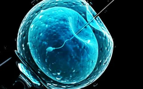 做试管婴儿，一代、二代、三代该如何选择？试管婴儿的级别越高越好吗？