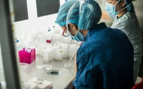 试管婴儿助孕中AMH检查是什么？检查的AMH数值生而不平等，AMH的作用有哪些？