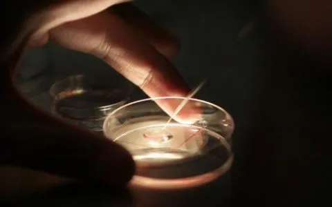 3分钟自测「你需要做几次试管才能成功」！