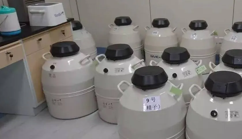 试管冷冻卵子价格大概要多少钱？试管婴儿的冷冻卵子费用明细？冷冻卵子费用的影响因素？