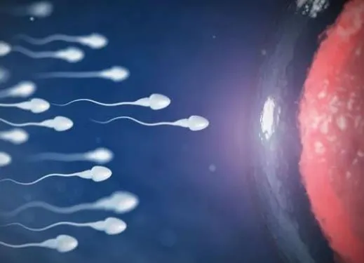 难孕问题中的男方不容忽视的隐匿问题是什么？精子DNA损伤常规处理方式是什么？