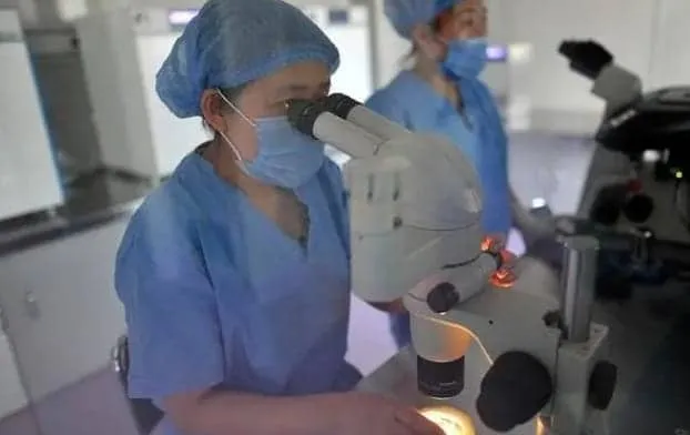 泰国试管婴儿的流程是什么？去泰国做试管婴儿前的准备工作有哪些?