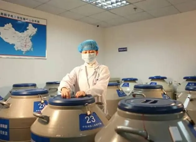 试管婴儿冷冻胚胎的条件是什么？试管婴儿冷冻胚胎影响胚胎质量吗？