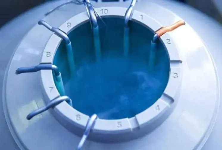 老公在医院有冻精可以解冻后做人工授精吗？冻精做人工授精解冻成功率高不高？