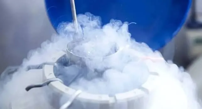 试管婴儿冷冻胚胎有什么用？试管婴儿冷冻胚胎能提高试管婴儿的成功率吗？