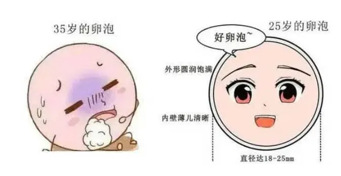 生育力下降的主要原因是什么？生育力评估适合哪些人群？生育力评估怎么做？