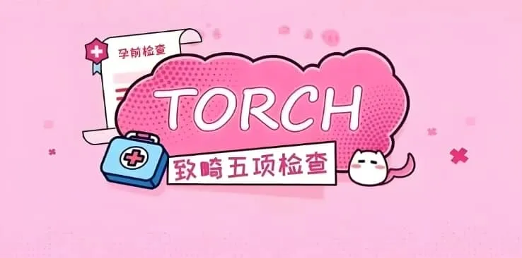孕前TORCH检查是什么？TORCH检测异常会导致哪些疾病？做试管婴儿前为什么要查TORCH？