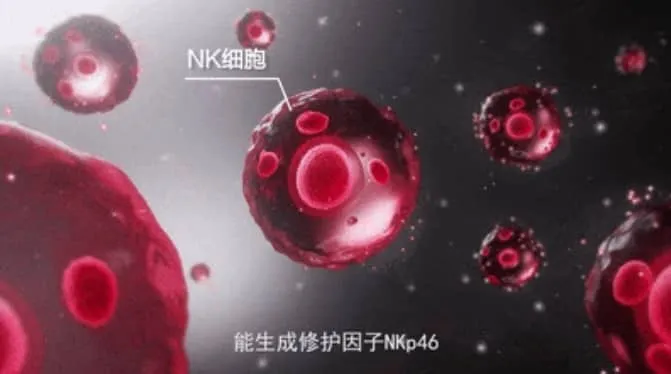 试管婴儿过程中NK细胞偏高的影响是什么？如何通过治疗提高试管婴儿的成功率？
