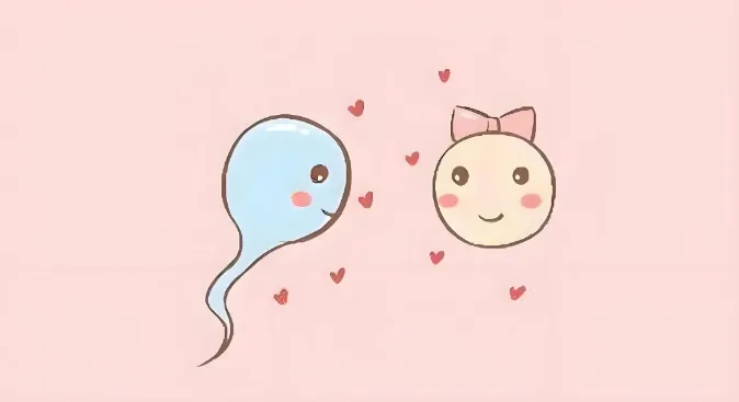 卵子质量怎么看？如何通过自测来知道卵子的质量？年龄对卵子质量的影响有多大？
