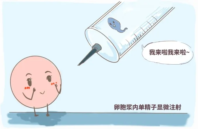 男性哪些问题会导致胎停育？胎停育真的是女性的错吗？男性因素不可忽视！