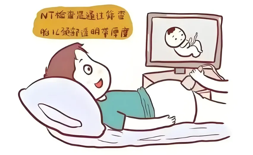 试管婴儿怀孕后做NT检查需要注意哪些事项？做NT检查常见问题有哪些？