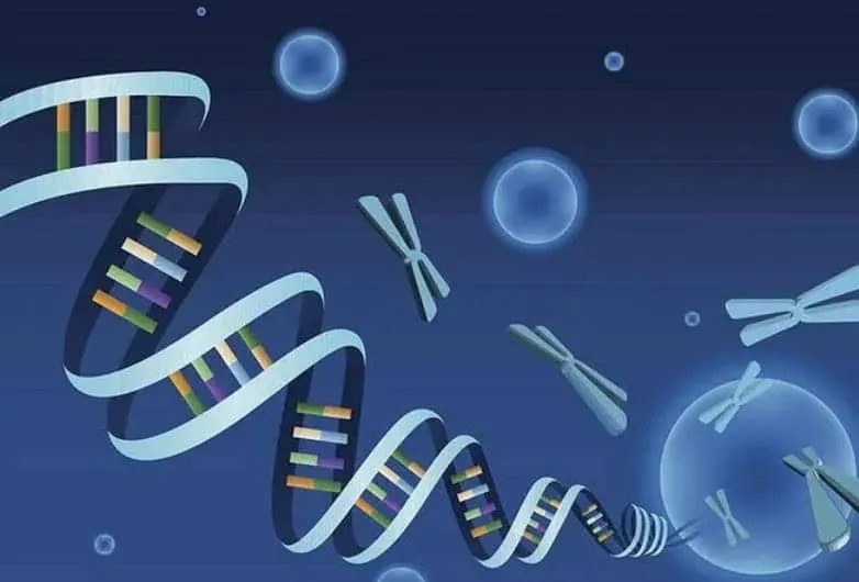 哪三种不同的试管助孕技术方式？三代试管的成功率要比一代试管高吗？三代试管越年轻成功率越高？