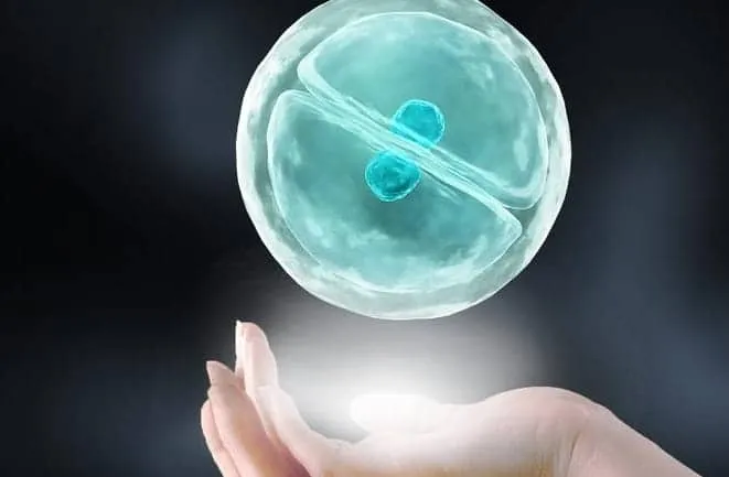 试管中卵子与精子结合的信号，做试管婴儿提高精子、卵子质量的方法，试管胚胎移植后着床的几个征兆
