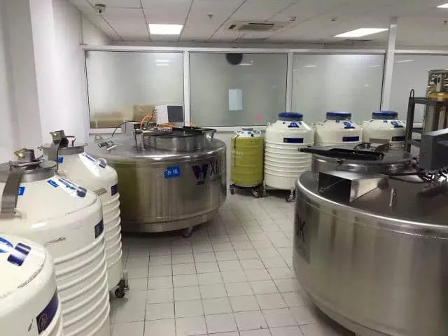 山东大学生殖医院冷冻囊胚的经验分享，山东大学生殖医院冷冻囊胚费用？