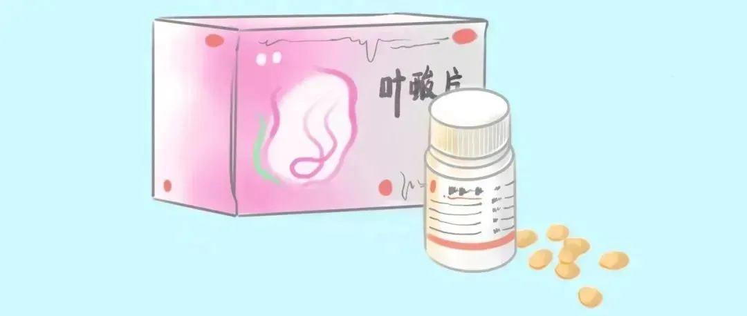 备孕期间必须补充哪些营养素？试管婴儿前必看：如何通过营养调理提高胚胎质量？