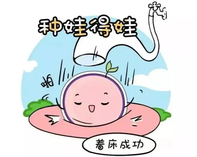 为什么优质胚胎就是不着床？试管婴儿反复失败？可能是这4个宫腔问题在作祟！