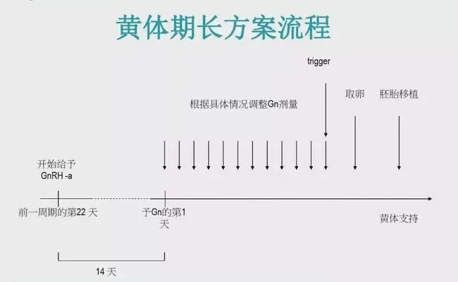 试管婴儿促排方案怎么选？最全试管促排方案合集，哪种适合你？