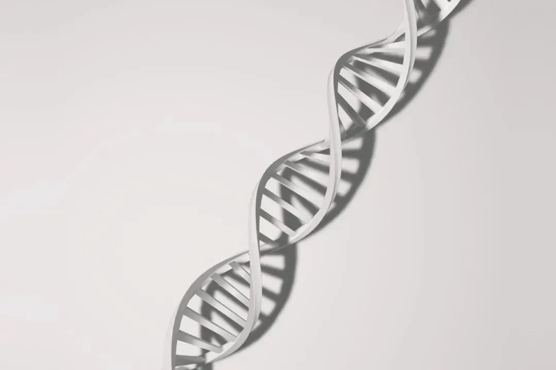 高龄备孕必看：嵌合体胚胎还能成功妊娠吗？如何应对嵌合体胚胎的风险？