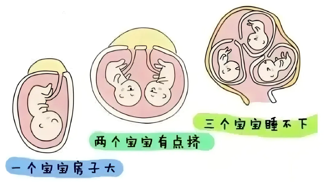 试管婴儿移植多胚胎成功率更高？试管婴儿胚胎移植颗数应该怎么选？