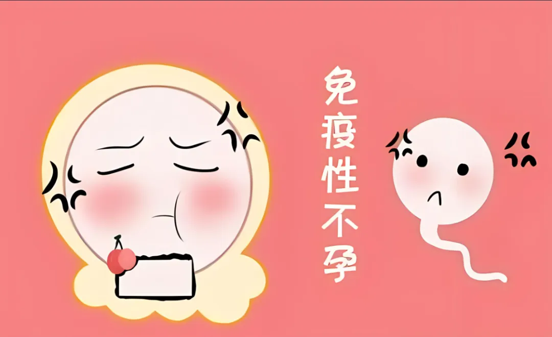 免疫系统会影响怀孕吗？如何调节免疫提高受孕率？如何进行免疫调节？