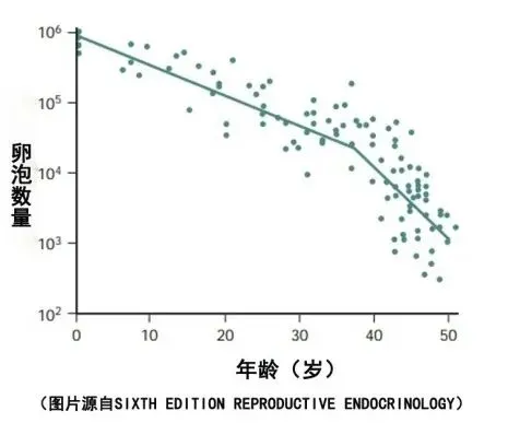 40岁备孕真的难吗？高龄备孕如何科学促排？高龄做试管婴儿如何提高成功率？