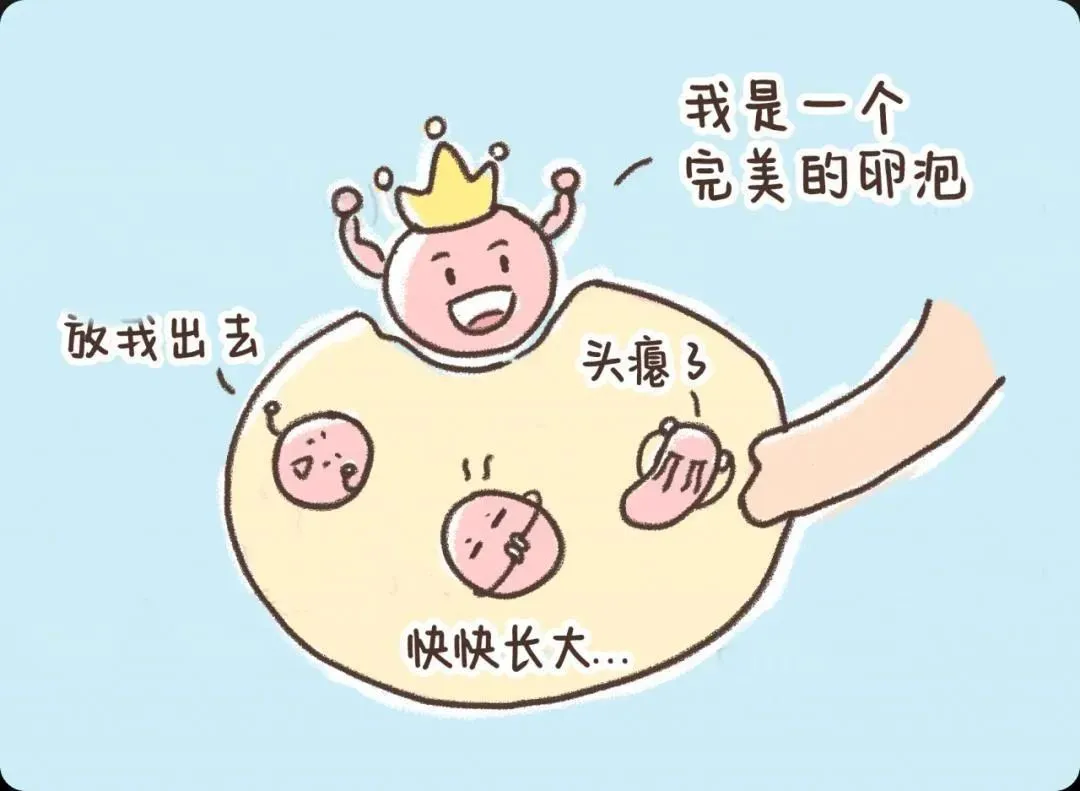 试管婴儿备孕总失败？可能是这些'拦路虎'在作祟！