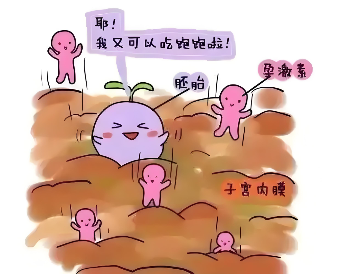 试管婴儿反复失败？可能是激素水平不达标！