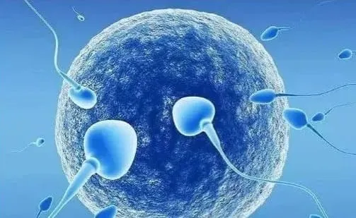 什么是试管婴儿超长方案？试管婴儿超长方案的优势是什么？