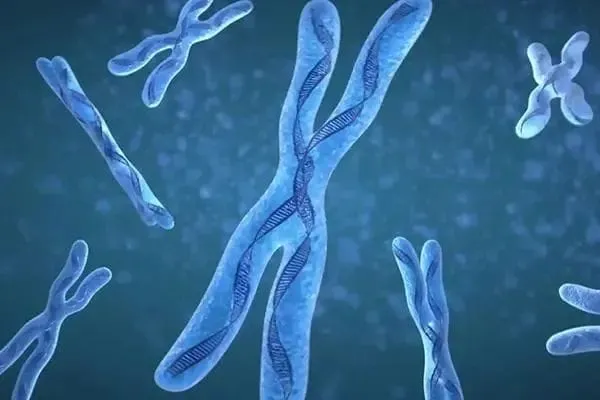 试管婴儿为什么总是移植失败？试管婴儿成功率的主要影响因素有哪些？