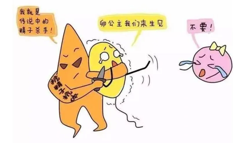 免疫有问题也会影响备孕吗？遇到免疫性不孕该怎么办？